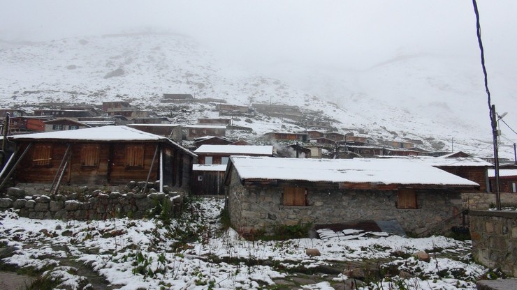 Doğu Karadeniz'in yüksekleri beyaza büründü; çobanlar sürülerini yayladan indirdi